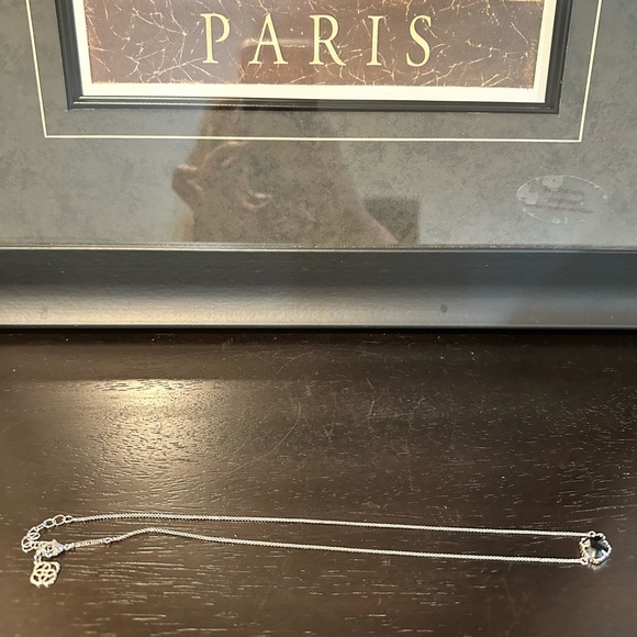 Kendra Scott Tess Black Pendant Silver Tone Necklace - Picture 5 of 6